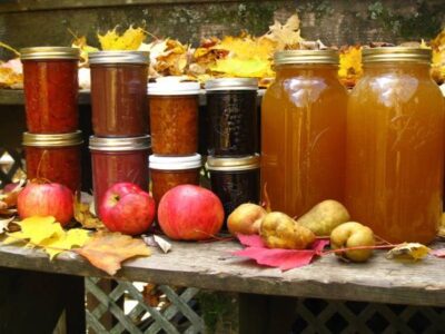 The Harvest, The Hunt, and The Balance of Money and Life Image